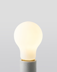 Brightlight A19 LED Bulb