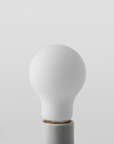 Brightlight A19 LED Bulb