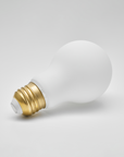 Brightlight A19 LED Bulb